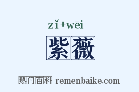 紫薇是什么意思的图片